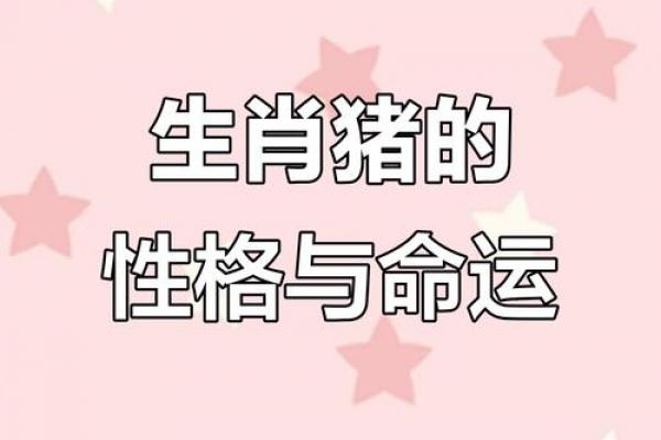 71年男猪女猪黄道吉日:结婚搬家开业吉时解析 71年男猪女猪黄道吉日:结婚搬家开业吉时解析