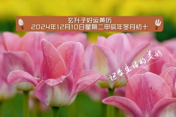 冬月黄道吉日查询指南:这些日期最宜办大事! 冬月黄道吉日查询指南:这些日期最宜办大事!