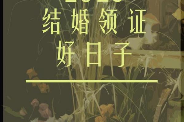 国庆结婚黄道吉日推荐:选对日子,幸福翻倍! 国庆结婚黄道吉日推荐:选对日子,幸福翻倍!