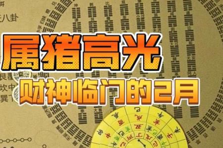 属猪提车吉日 这些日子最旺运！
