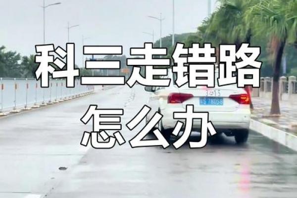 9月驾考黄道吉日:避开雷区选吉时,科二科三一把过! 9月驾考黄道吉日:避开雷区选吉时,科二科三一把过!