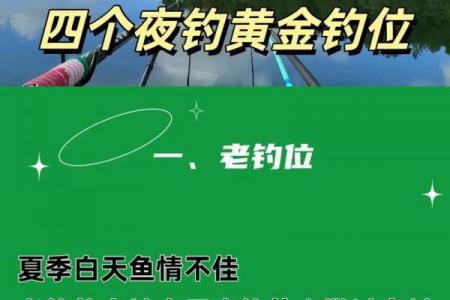 钓鱼黄道吉日爆护指南：选对时辰鱼获翻倍