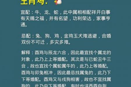 黄道吉日兔日冲鸡啥意思？生肖相冲如何避忌？一文搞懂择日禁忌！