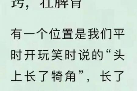 移植要选黄道吉日？科学+传统的双重智慧！