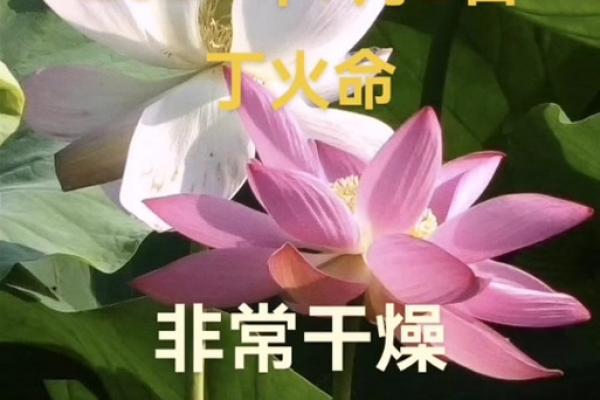 年7月黄道吉日一览:哪天最适合办大事? 年7月黄道吉日一览:哪天最适合办大事?