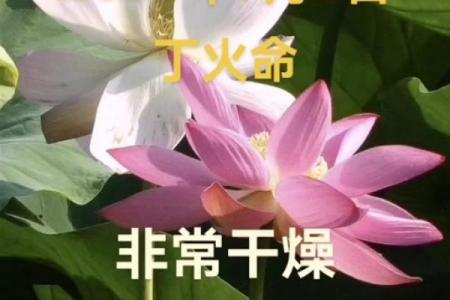年7月黄道吉日一览：哪天最适合办大事？