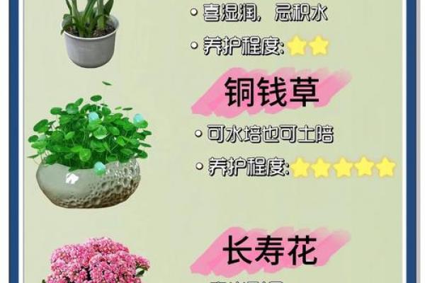 【植物护理代理公司起名】30个创意名称+绿植养护技巧+专家团队推荐