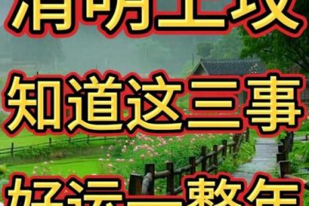 上坟为啥要挑黄道吉日？这些讲究你得知道！
