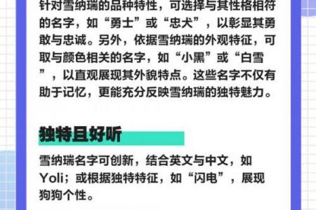 吉利公司起名字必看！技巧助你财源滚滚