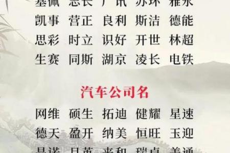 网络公司起名洋气指南：技巧打造国际化品牌名
