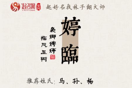 公司起名带婷字有哪些技巧？吉祥大气朗朗上口
