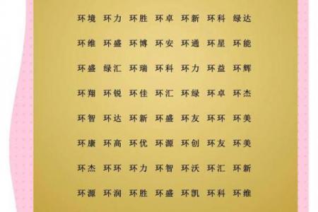如何选择卓越的公司起名服务？5个核心标准帮你避坑