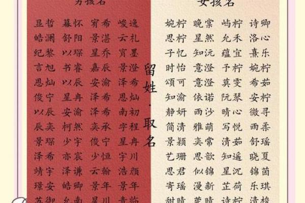 阿木起名公司:专业吉祥命名,助宝宝赢在人生起点 阿木起名公司:专业吉祥命名,助宝宝赢在人生起点