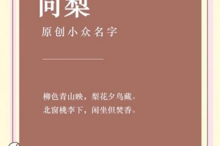 梨花公司起名灵感大全：创意名字推荐+命名技巧解析