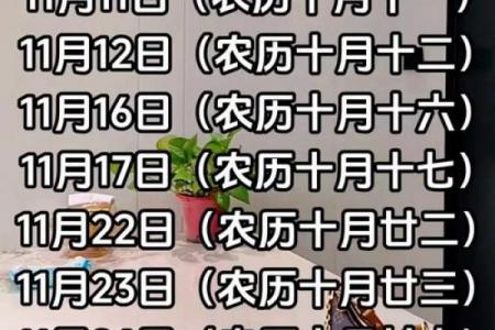 2008年11月黄道吉日查询指南