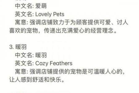 宠物物流公司起名大全：300个创意推荐，吉祥转运又吸睛！