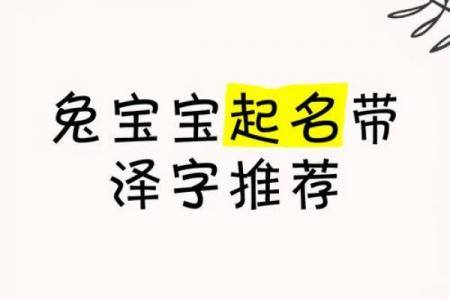 装饰公司起名大全带泽字：吉祥字推荐+创意灵感合集