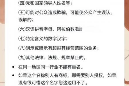 边境口岸公司起名规则：通关效率+国际化命名指南