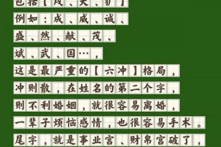 2024生肖属狗公司起名推荐：300个旺运名字合集