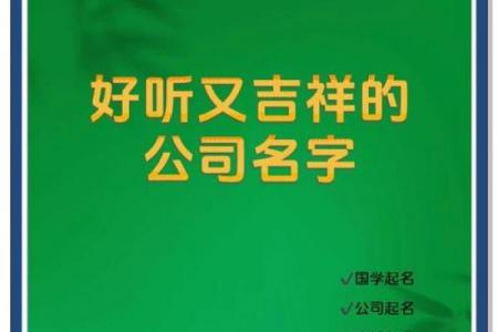 公司起名带宝的吉祥秘籍：财富感与传播力并存