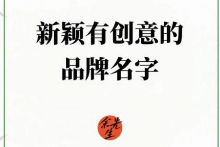 双创公司起名秘籍：3招打造爆款品牌名，快速抢占行业定位！
