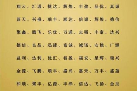 公司经营范围广起名大全：创意命名覆盖多行业需求