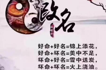 好听的店名公司起名：300个创意+避坑指南