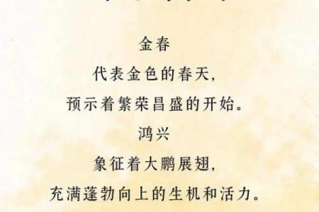 银饰品公司起名灵感大全｜30个创意名字+寓意解析+品牌定位技巧
