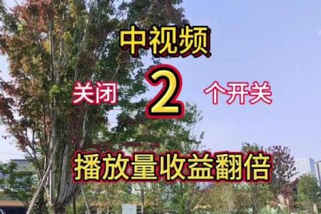 公司视频起名必看！3大技巧让品牌传播力翻倍