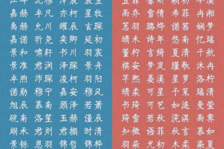 泰安宝宝起名公司有哪些？本地人推荐这5家！