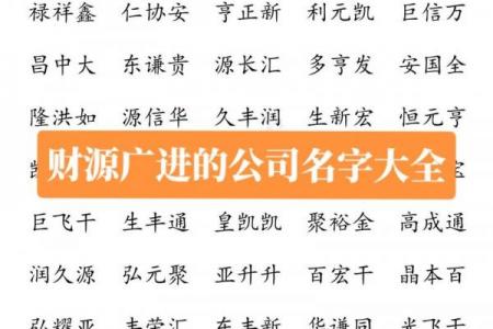 韶关投资公司起名攻略：吉祥寓意+行业特色，助您财源广进！