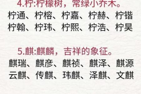 公司起名会亚号码：创意吉祥名，行业适用指南
